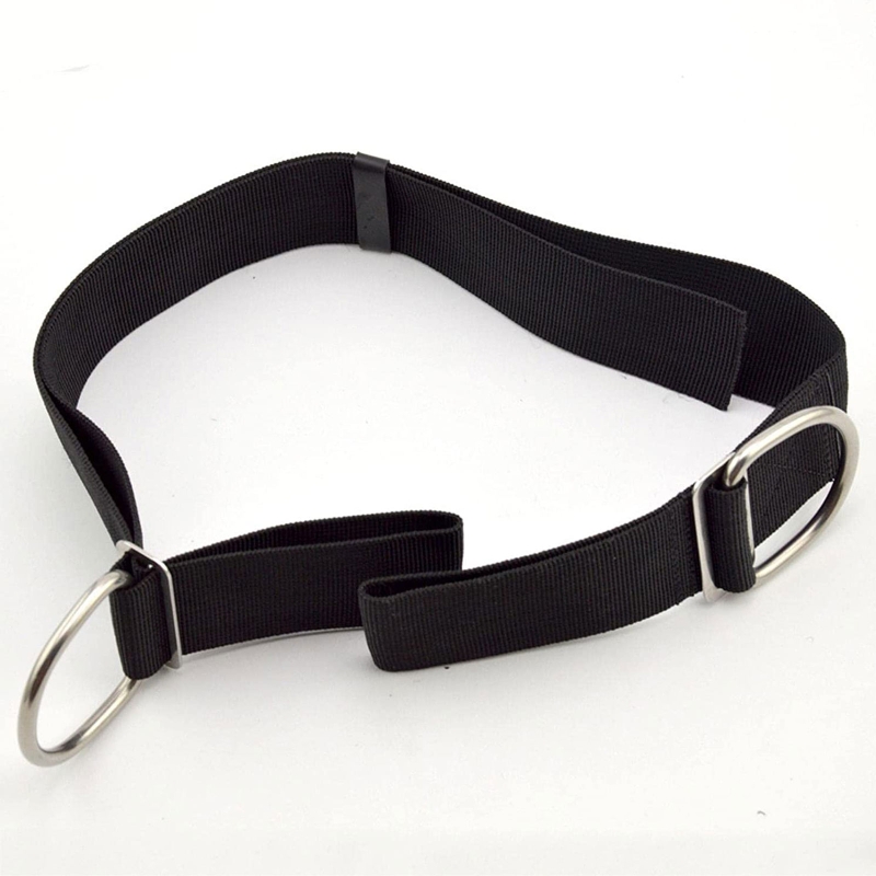 قابل للتعديل التكنولوجيا الغوص - مراجعة Tech Gear Accessories وسعره